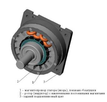 High-torque multi-pole motor